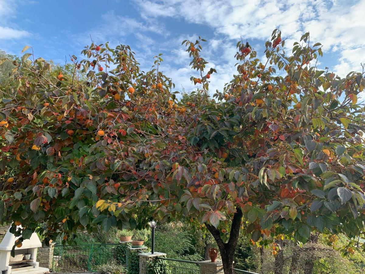 Salto ChiesaIl Giardino Di Piero - Lt-0029别墅 外观 照片